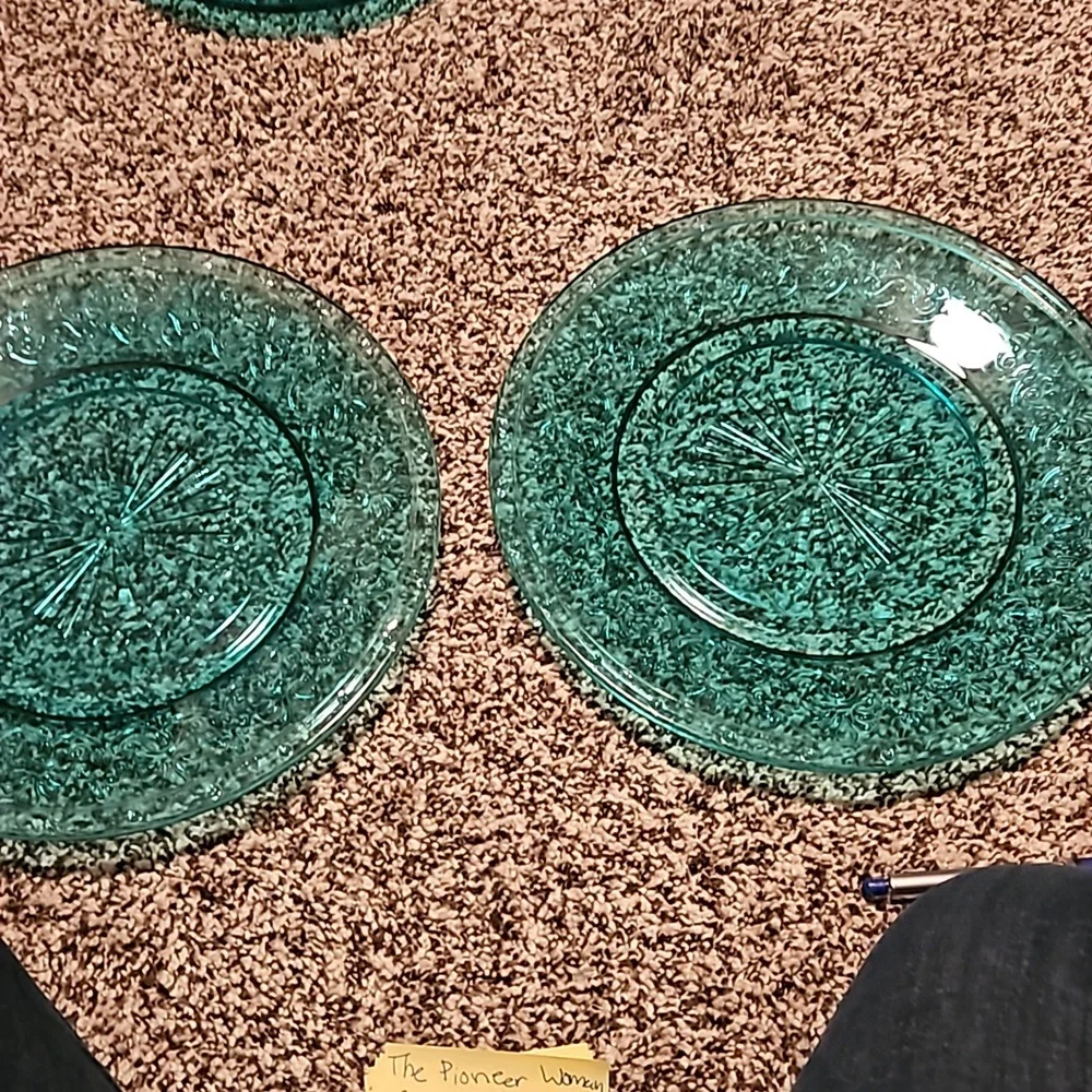 Set of 2 the pioneer women dinner plates teal